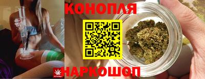 spice Можга